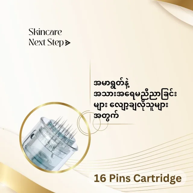 16 Pins Micro Needle