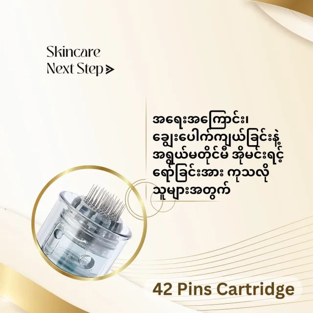 42 Pins Micro Needle